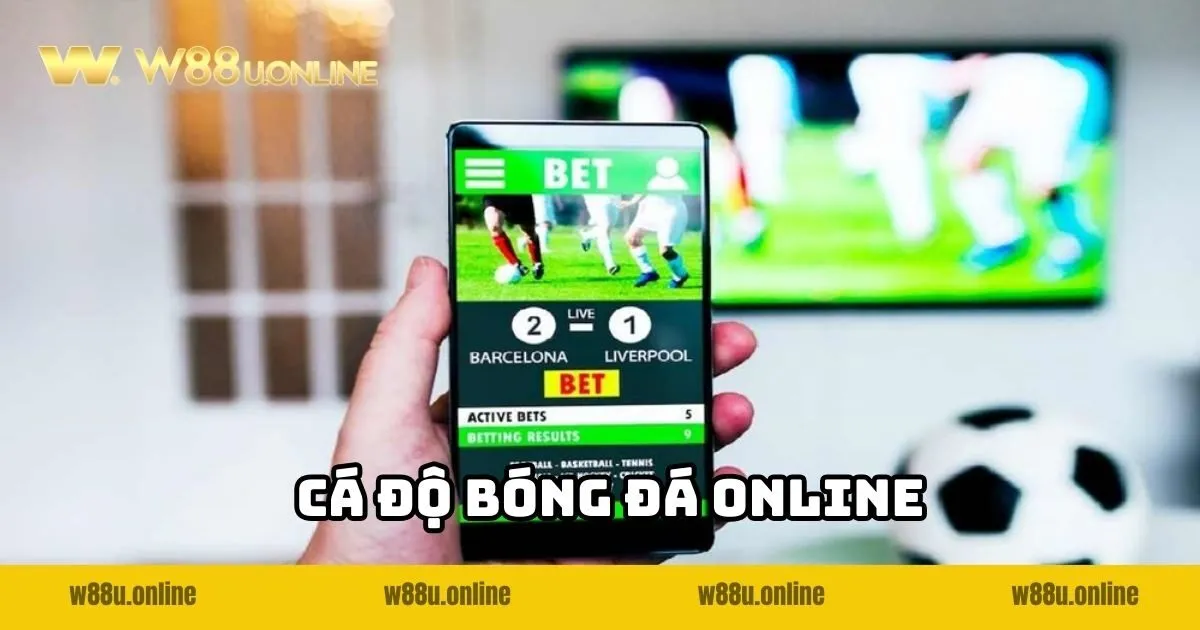 anh-dai-dien-ca-cuoc-bong-da-online