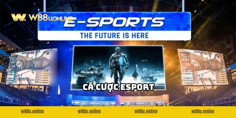 ca-cuoc-esport-w88-anh-dai-dien