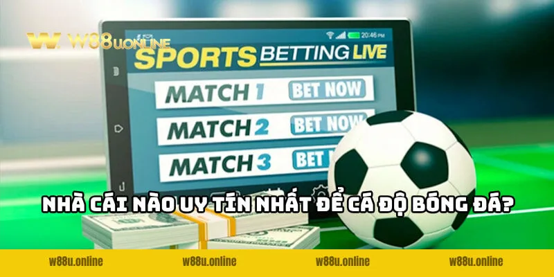 nha-cai-uy-tin-nhat-de-ca-do-bong-da-avt
